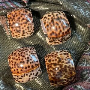 Vintage Cowrie Napkin Rings